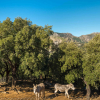 Отель Fuerte Grazalema, фото 19