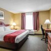 Отель Comfort Inn & Suites, фото 43