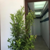 Отель Elisir Suite Rooms, фото 19