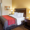 Отель Comfort Inn & Suites Regional Medical Center, фото 5