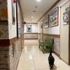 Отель Gyeongju Pyeonggwanhun Guest House, фото 24