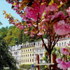 Отель Boutique Hotel Corso, фото 15