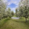 Отель Apartment Tenuta Naiano Leonardo, фото 17