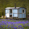 Отель Clavertye Shepherds Huts, фото 24