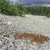 Отель Agroturystyka Stylowy Pokoj W Stajni, фото 2