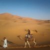 Отель Sahara Camels Camp, фото 38