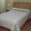 Отель Hostal La Vega Peralejos, фото 19
