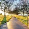 Отель Parkview On Hagley, фото 14