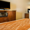 Отель Comfort Inn & Suites Midtown, фото 2