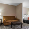 Отель Quality Inn & Suites, фото 4