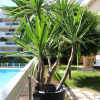 Отель Nice Booking-Bella Vista-Piscine Jardin, фото 9