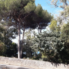 Отель B&B Posidonia, фото 15