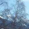 Отель Apartment With 3 Bedrooms In La Salle Les Alpes With Enclosed Garden And Wifi, фото 14