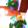 Отель Fresh Air Villa Guest House, фото 13