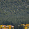 Отель Parachute Hotel, фото 7