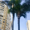 Отель Central Torremolinos Studio, фото 1