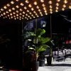 Отель Provocateur, Berlin, a Member of Design Hotels, фото 22