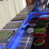 Отель Sos Cave Hotel, фото 11