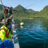 Отель Live Lofoten Fishermen's Cabins, фото 12