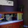 Отель Shangkeyou Chain Hotel (Zibo Vocational College of Industry), фото 2