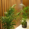 Отель Mira Otel Alsancak, фото 16