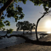 Отель Jungle Beach Resort, фото 14