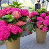 Отель Kamienica Gdynia, фото 7