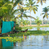 Отель Aqualillies Home Stay, фото 10