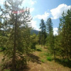 Отель Pines Condominiums 3 Bedroom Apartment by Key to the Rockies, фото 8