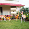 Отель Shivsagar Farmhouse, фото 6