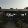 Отель Morjim Coco Palms Resort, фото 23