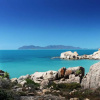 Отель Whitsunday Sands Resort, фото 36