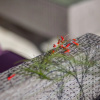 Отель Villa Tres Chic, фото 21