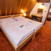 Отель Resort Sv. František - Vila Tereza, фото 3