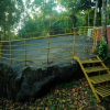 Отель Edakkal Village Resort, фото 18