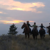 Отель YD Guest Ranch, фото 8