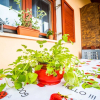 Отель Stunning Home in Krnica With Wifi and 2 Bedrooms, фото 11