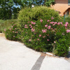 Отель Les Restanques Golfe Saint Tropez 28066, фото 15