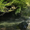 Отель Ryokan Okunoyu, фото 17