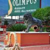 Отель Ristorante Olimpus, фото 48