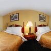 Отель Comfort Inn, фото 6