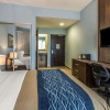 Отель Comfort Inn & Suites Levittown, фото 3