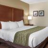 Отель Comfort Inn Okemos - East Lansing, фото 43