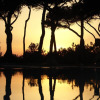Отель Amazing Home in Porto Santo Stefano With Wifi and 3 Bedrooms, фото 1
