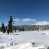 Отель Camp Lillehammer, фото 15