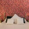 Отель Villa White Rock in Kringa - Central Located in Istria, фото 10