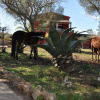 Отель Finca Son Amora Vell, фото 12
