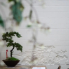 Отель CaoJi Book inn Hostel, фото 16