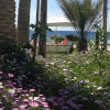 Отель Palm Beach Hotel Südkreta, фото 28