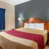 Отель Econo Lodge Lookout Mountain, фото 4